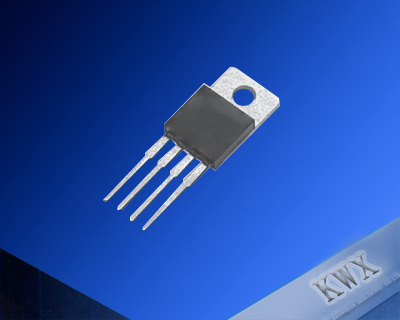 RNG211  Power Thick Film Resistor