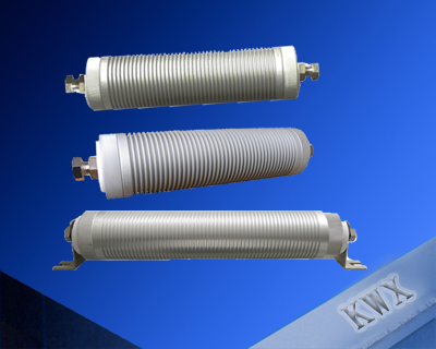 RXG600 Ceramic-Cased Wirewound Resistor