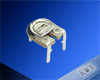 RM065C-V2 Adjustable carbon film resistor